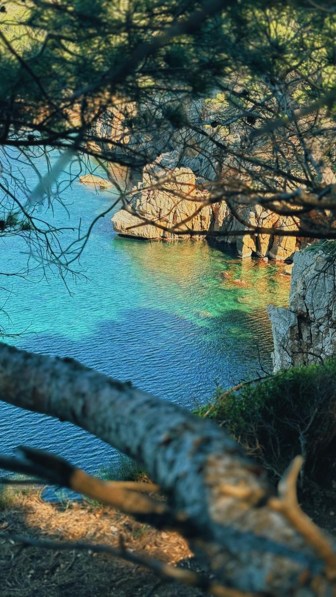 Can Romy Appartement T1 C - A 80M De La Plage De Cala Montgo เลสกาลา ภายนอก รูปภาพ